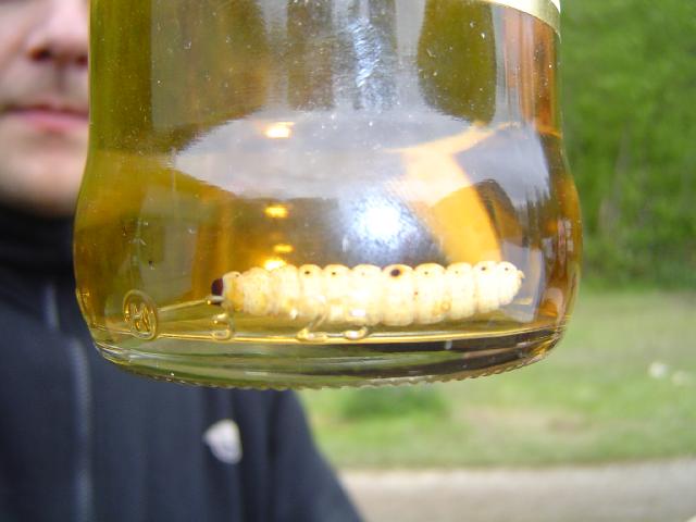 DSC02454