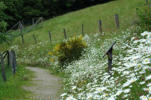 Pfingsten2006_0034