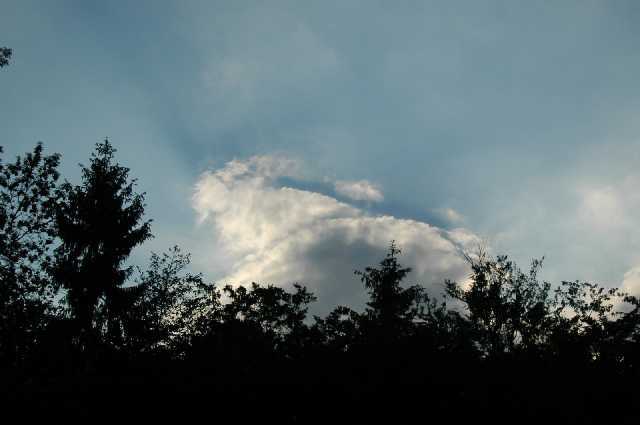 Pfingsten2006_0068