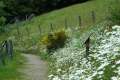 Pfingsten2006_0034